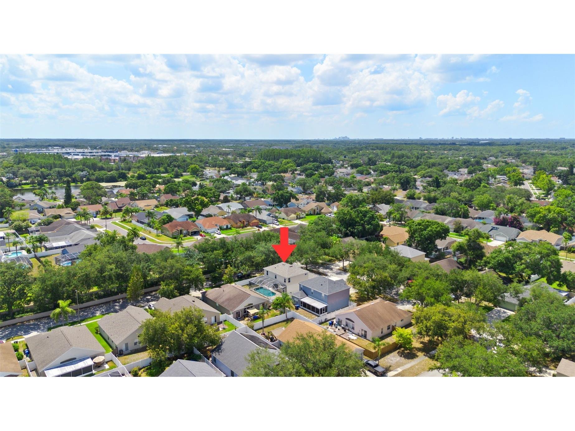 13439 White Elk Loop Tampa FL 33626 TB8524333 image5