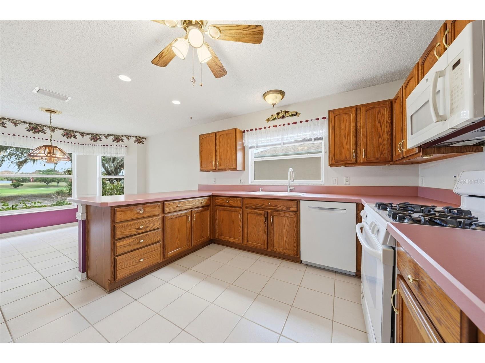 1344 Augustine Drive The Villages FL 32159 G5112465 image11