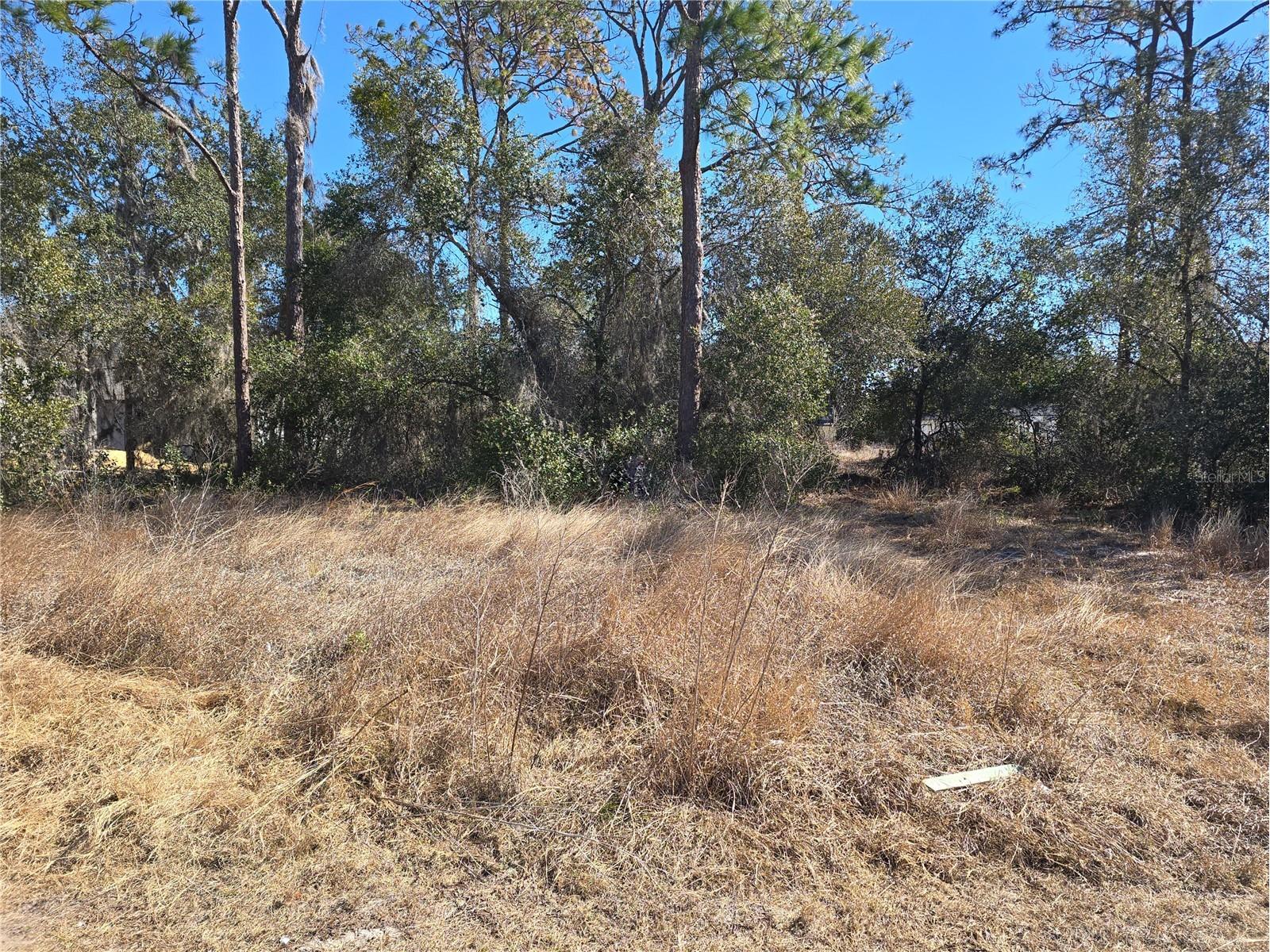 1344 Congo Court Kissimmee FL 34759 S5143432 image1