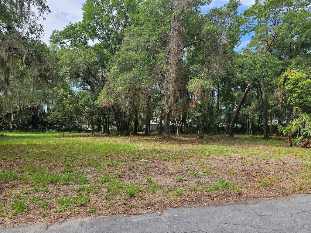 1344 E 9th Avenue Mount Dora FL 32757 - MOUNT DORA CHAIN OF LAKES G5082185 image1