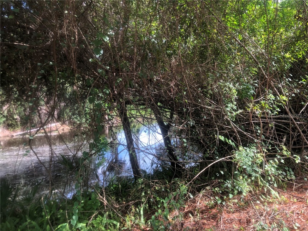 1344 Inverness Street Port Charlotte FL 33952 C7478739 image1