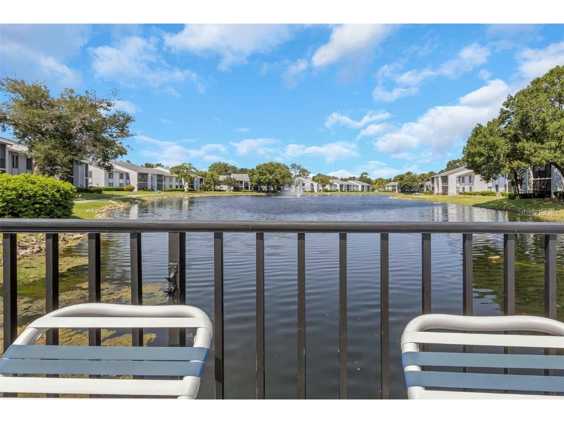 1344 Pine Ridge Circle E #D2 Tarpon Springs FL 34688 W7879031 image30
