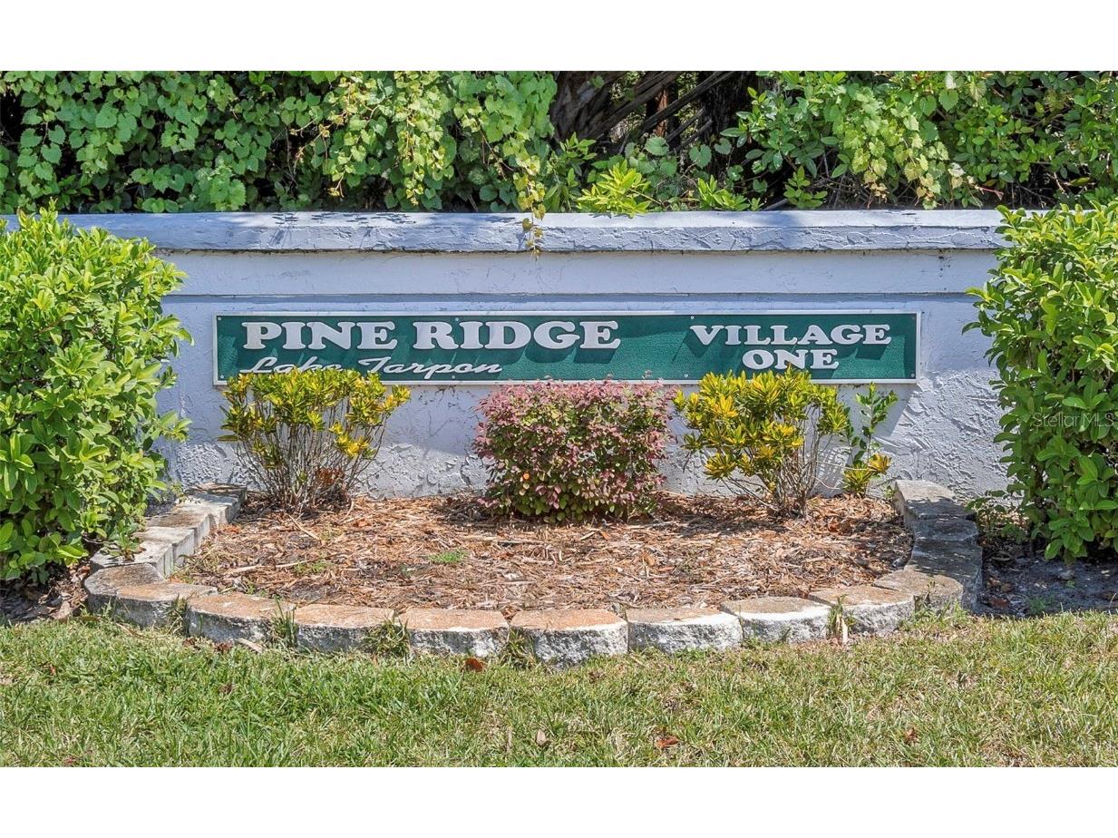 1344 Pine Ridge Circle E #D2 Tarpon Springs FL 34688 W7879031 image35