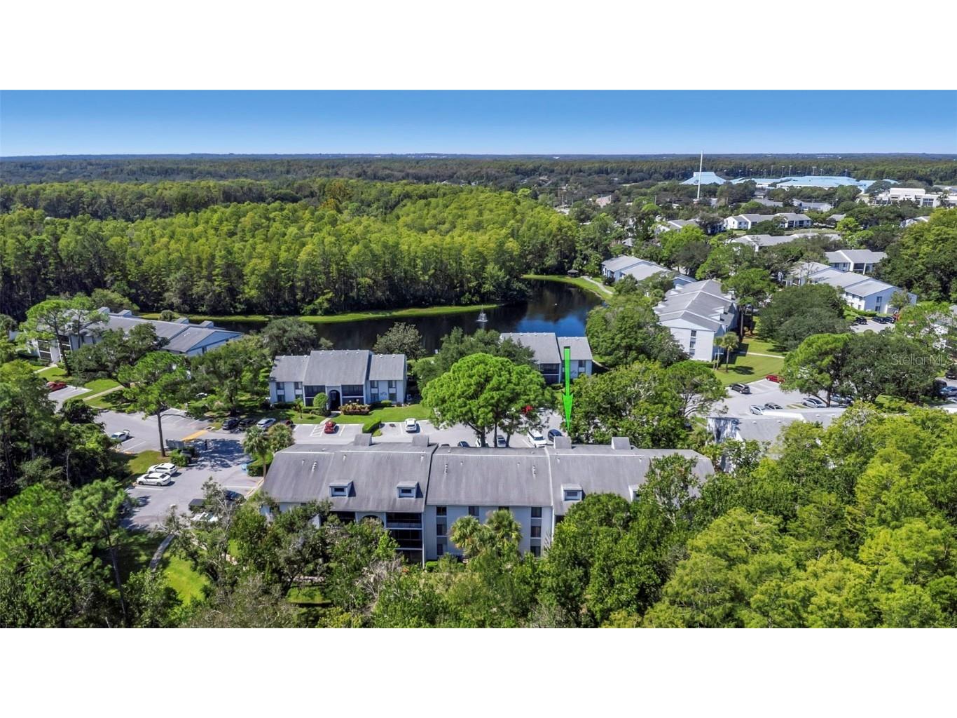 1344 Pine Ridge Circle E #D2 Tarpon Springs FL 34688 W7879031 image36