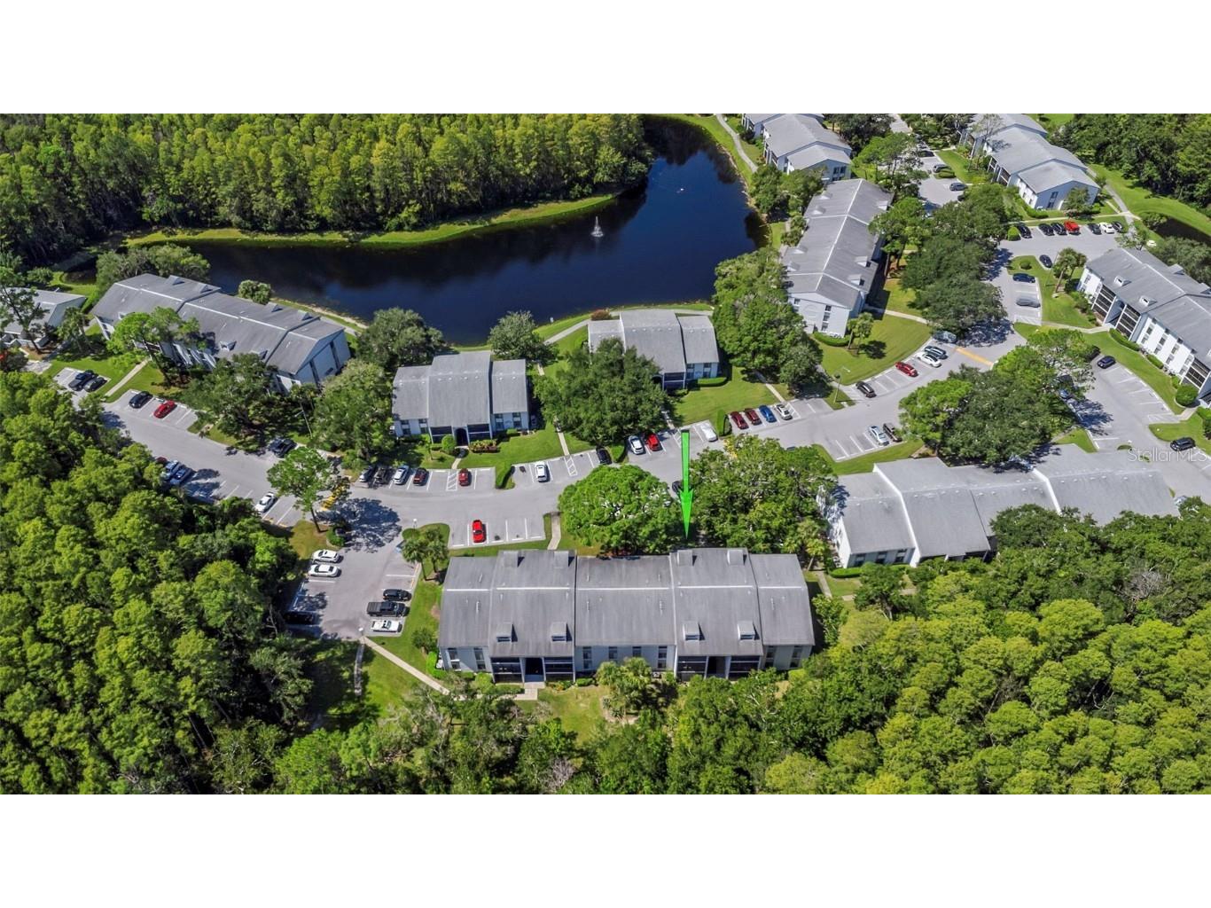 1344 Pine Ridge Circle E #D2 Tarpon Springs FL 34688 W7879031 image37