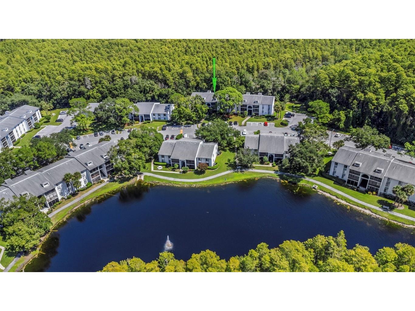 1344 Pine Ridge Circle E #D2 Tarpon Springs FL 34688 W7879031 image43