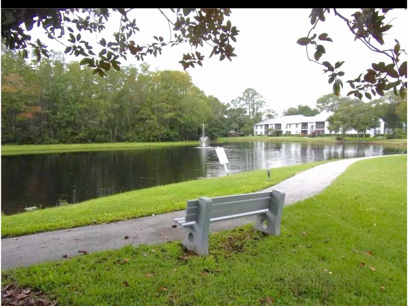 1344 Pine Ridge Circle E #E3 Tarpon Springs FL 34688 TB8497089 image16