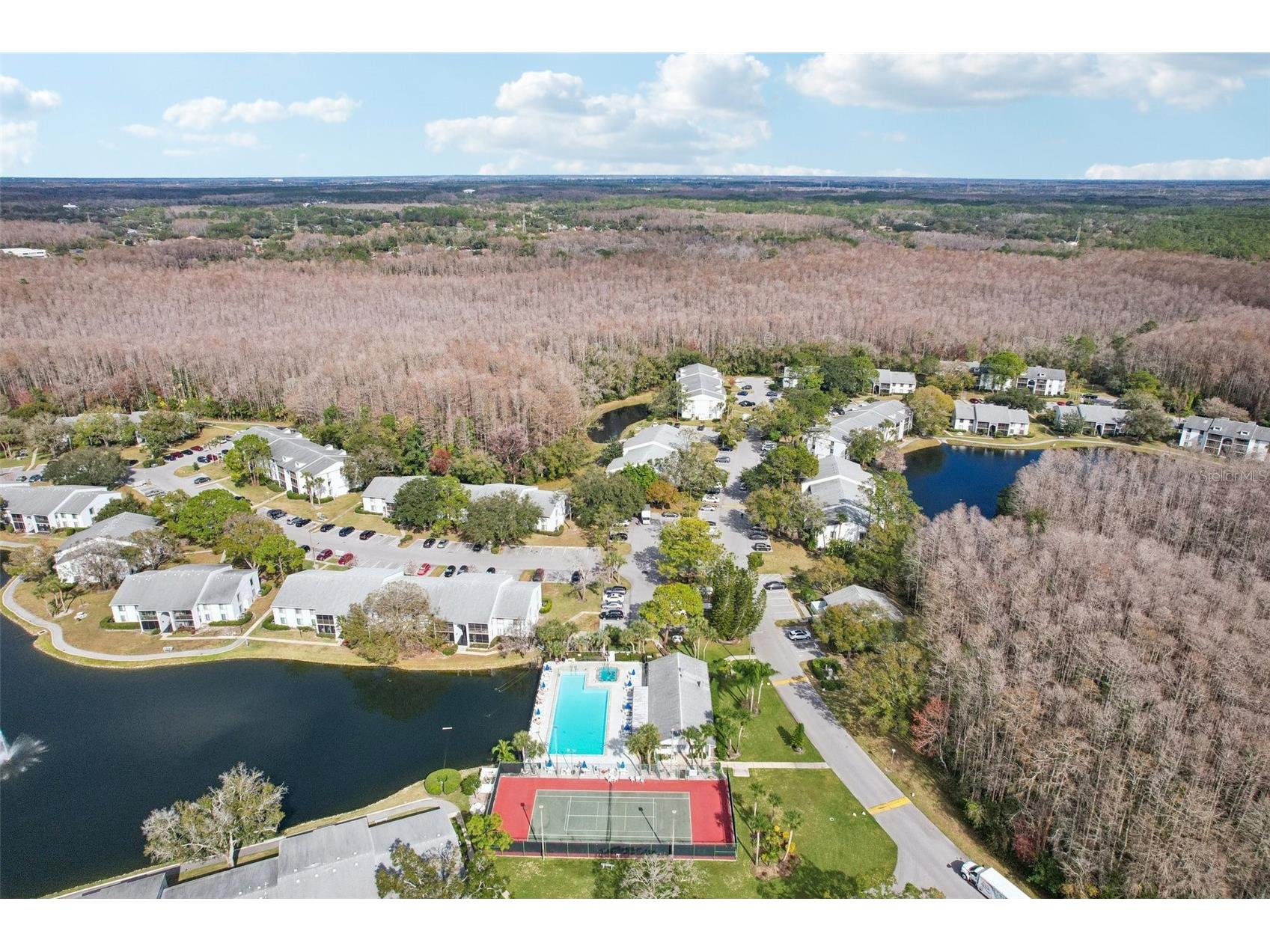 1344 Pine Ridge Circle E #E3 Tarpon Springs FL 34688 TB8497089 image24