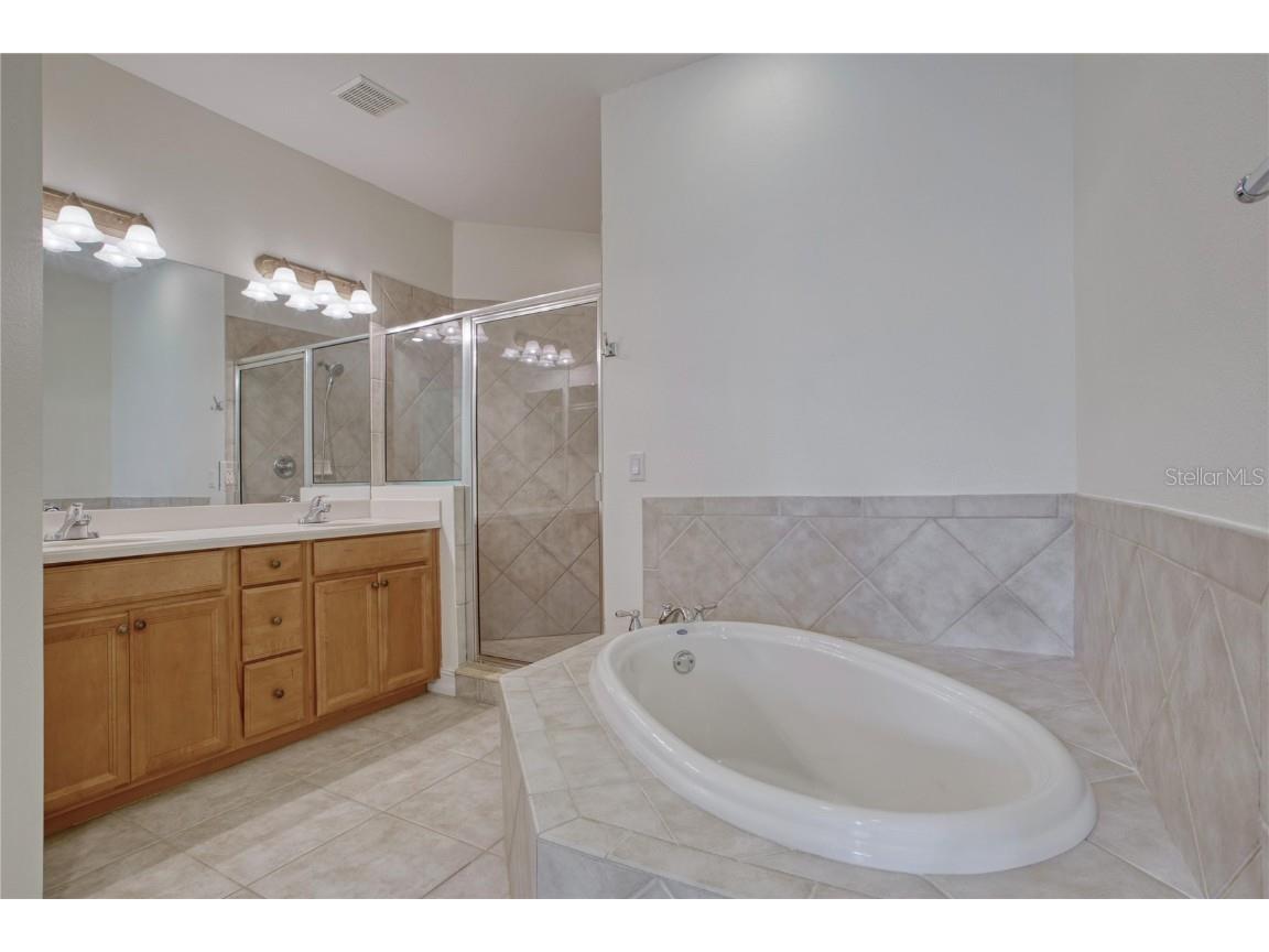 1344 Ribolla Drive Palm Harbor FL 34683 O6236028 image16