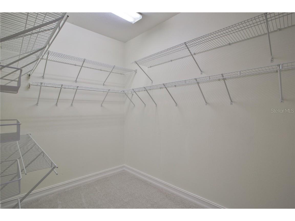 1344 Ribolla Drive Palm Harbor FL 34683 O6236028 image17