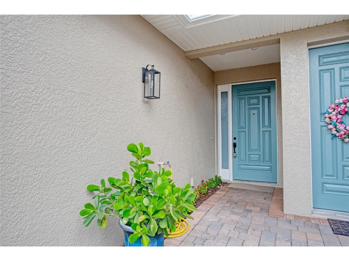 1344 Ribolla Drive Palm Harbor FL 34683 O6236028 image2