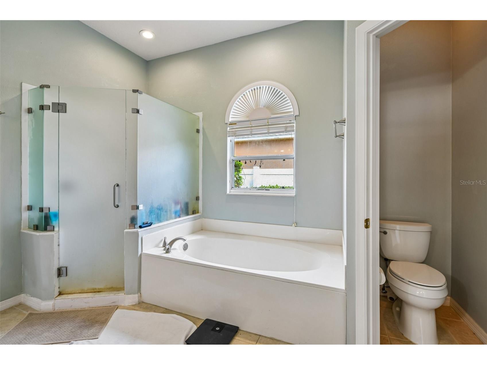 1344 Tall Maple Loop Oviedo FL 32765 O6405896 image15