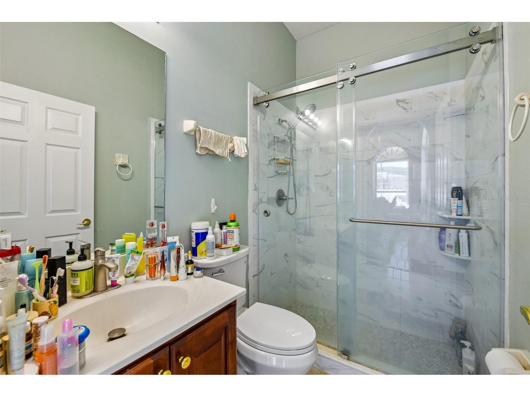 1344 Tall Maple Loop Oviedo FL 32765 O6405896 image20