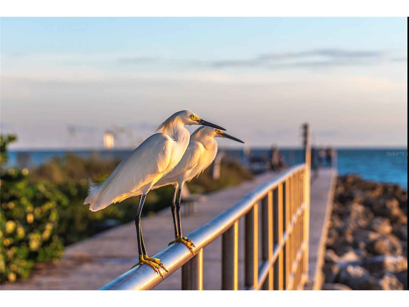 13440 1st Street E Madeira Beach FL 33708 TB8511506 image42
