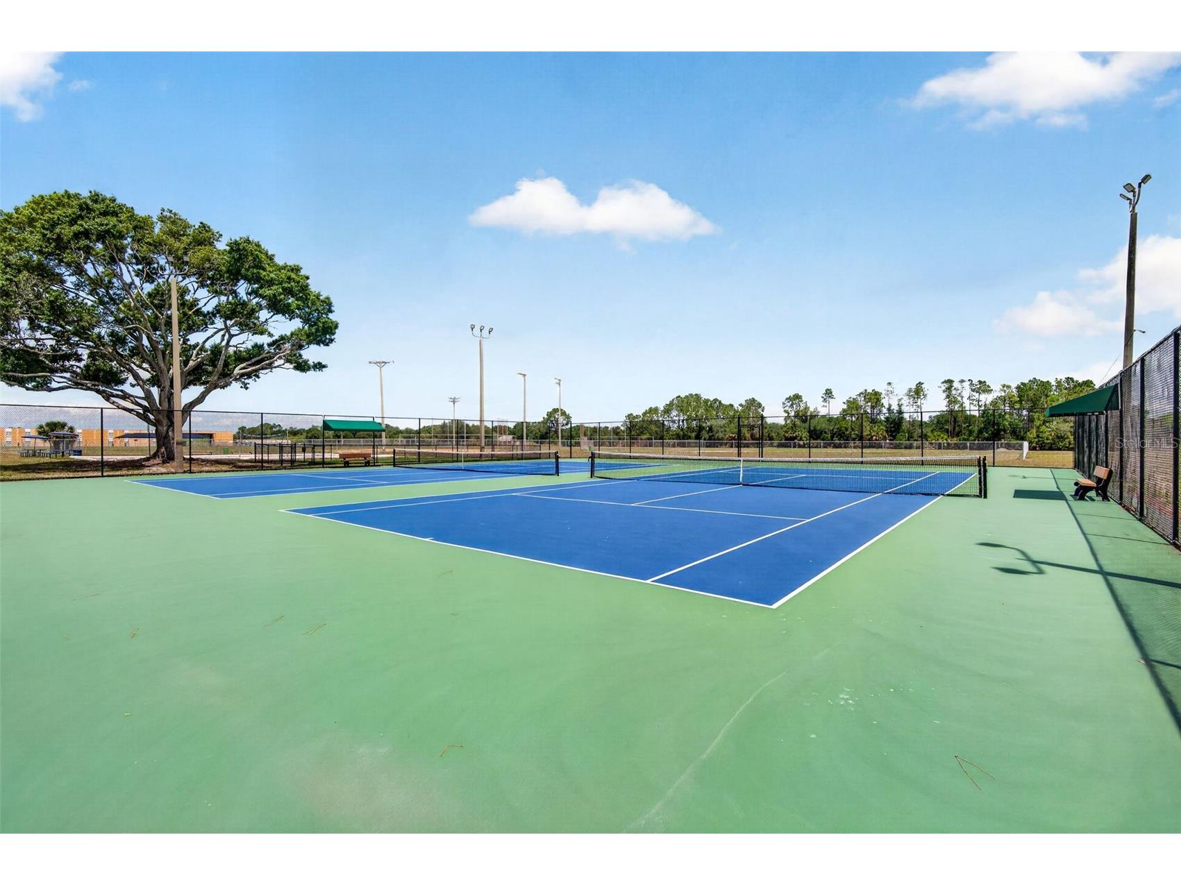 13440 Beechberry Drive Riverview FL 33579 TB8508820 image53