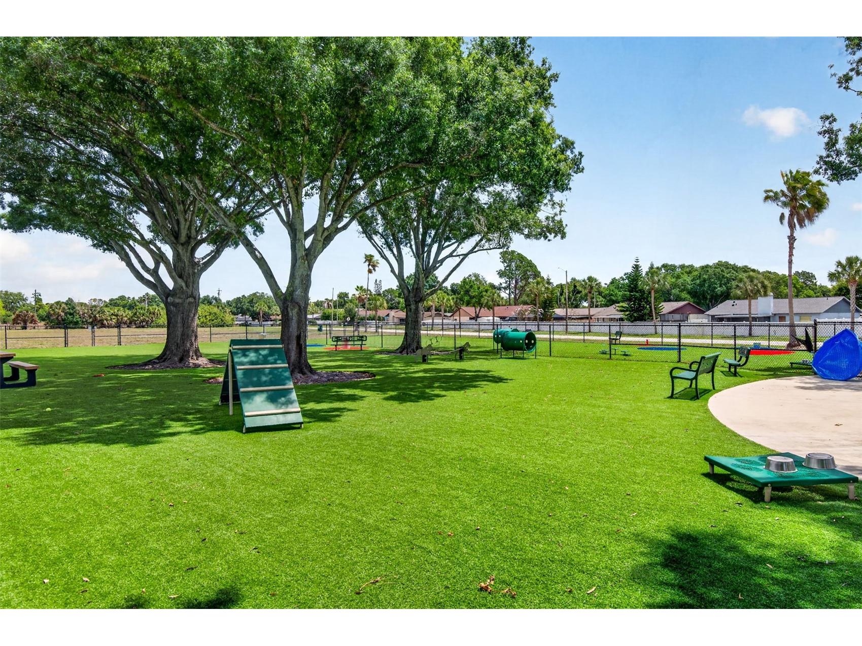 13440 Beechberry Drive Riverview FL 33579 TB8508820 image54