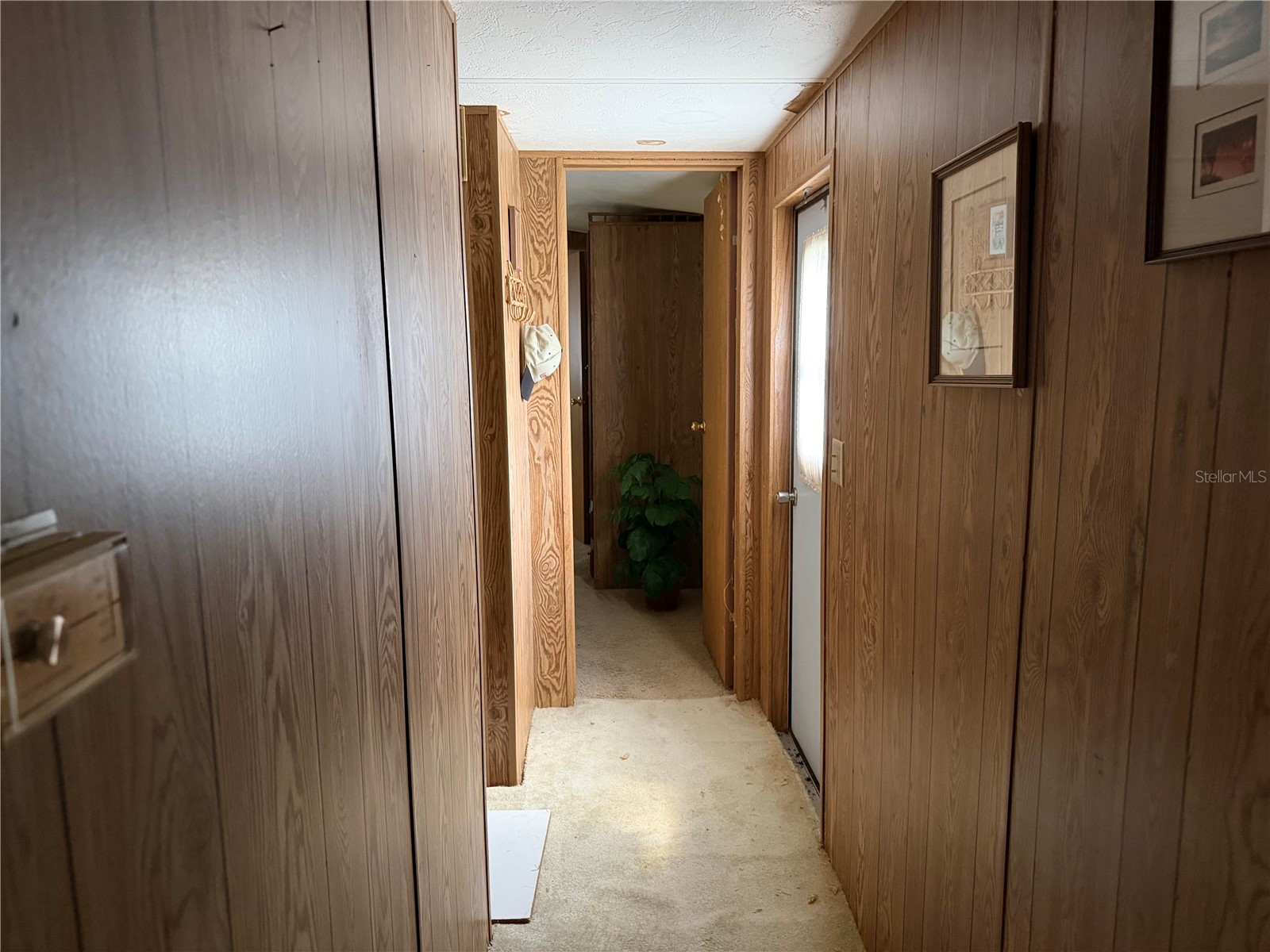 13440 Palm Drive #7 Astatula FL 34705 - LAKE HARRIS G5112352 image8