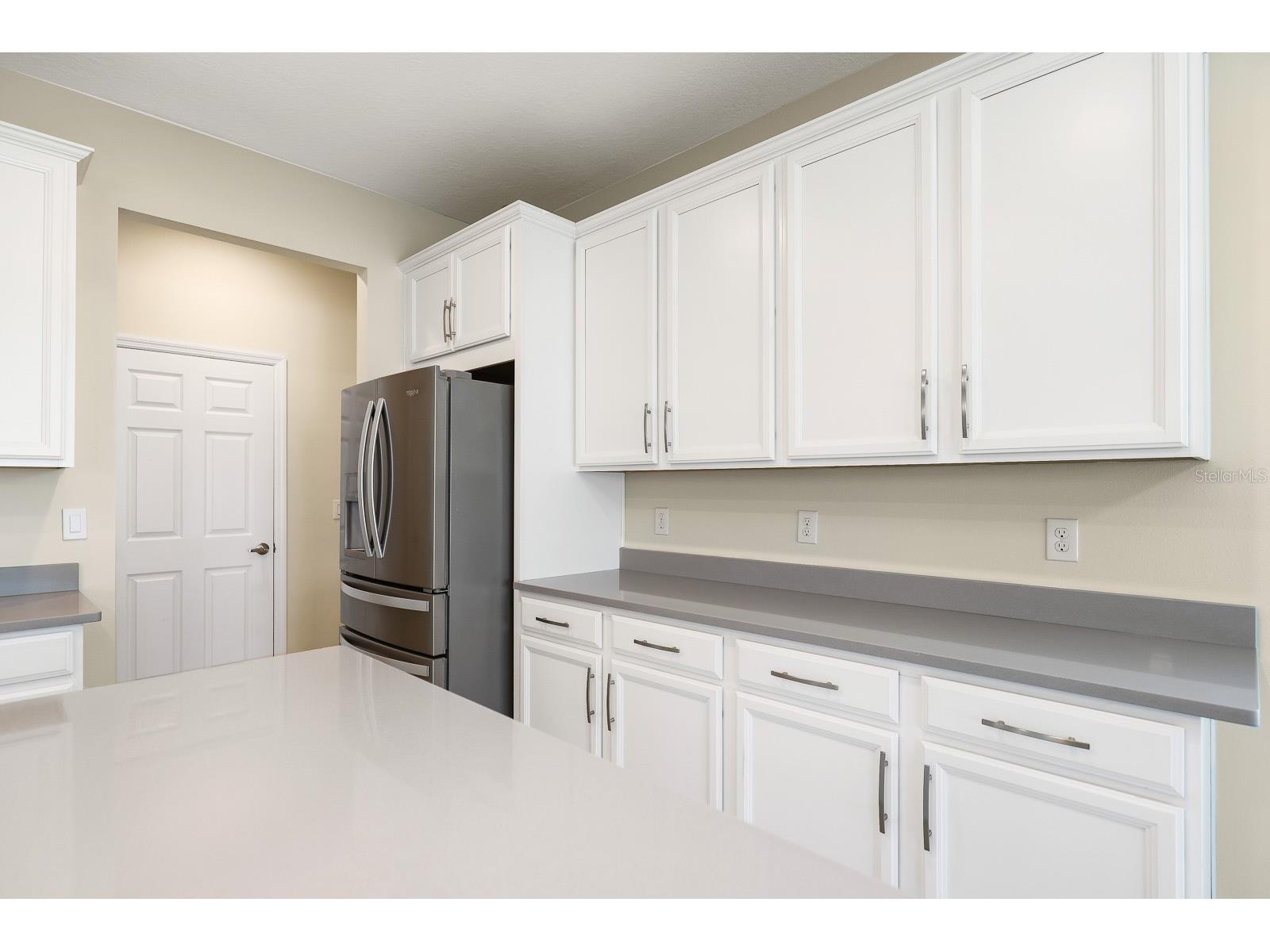 13441 Palmera Vista Drive Riverview FL 33579 TB8487897 image12