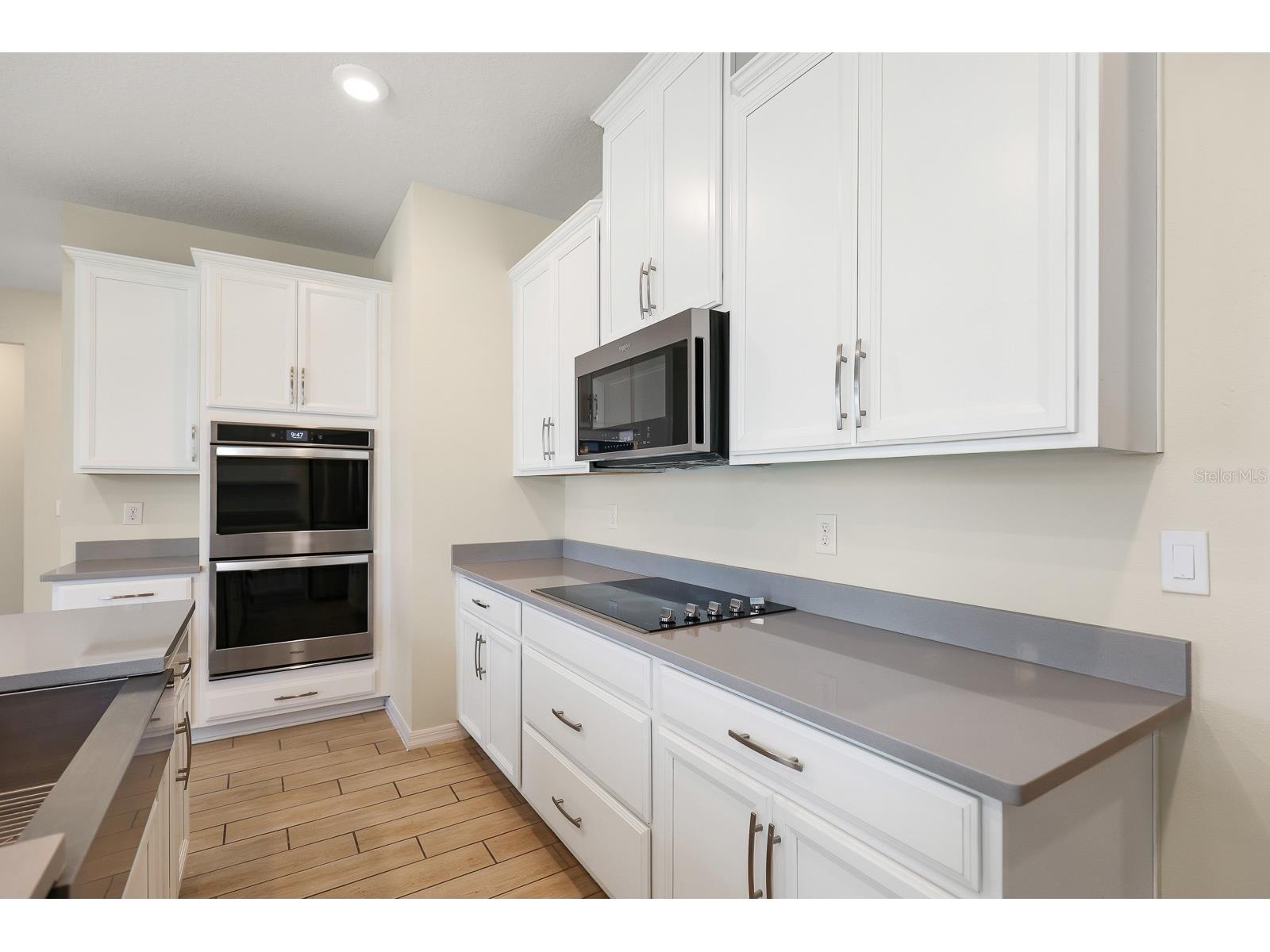 13441 Palmera Vista Drive Riverview FL 33579 TB8487897 image13