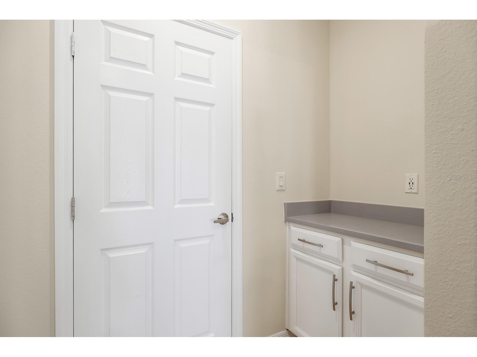 13441 Palmera Vista Drive Riverview FL 33579 TB8487897 image17