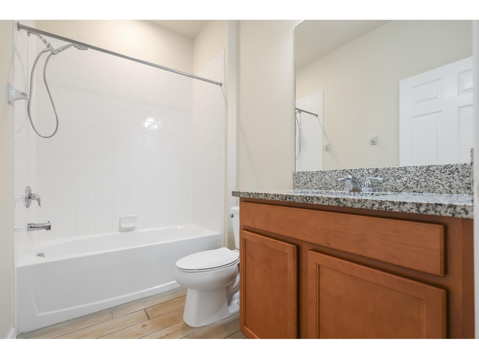 13441 Palmera Vista Drive Riverview FL 33579 TB8487897 image20