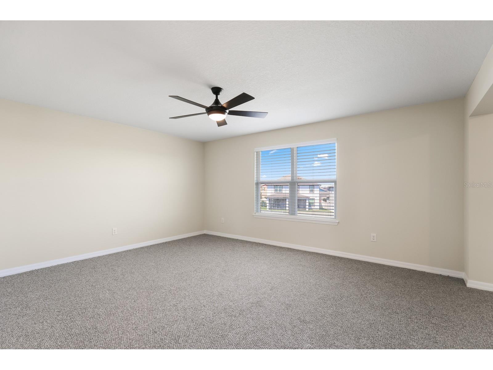 13441 Palmera Vista Drive Riverview FL 33579 TB8487897 image21