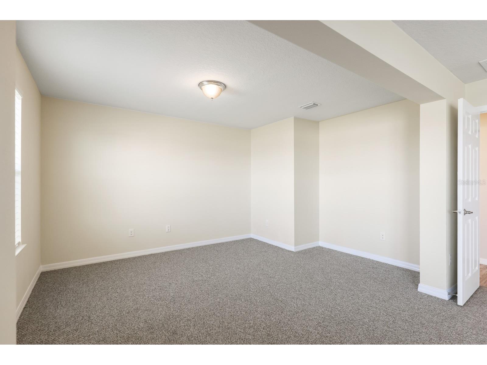 13441 Palmera Vista Drive Riverview FL 33579 TB8487897 image23