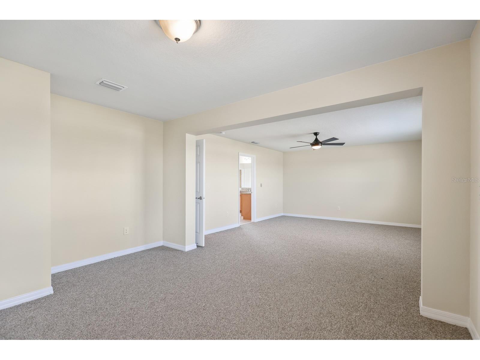 13441 Palmera Vista Drive Riverview FL 33579 TB8487897 image24