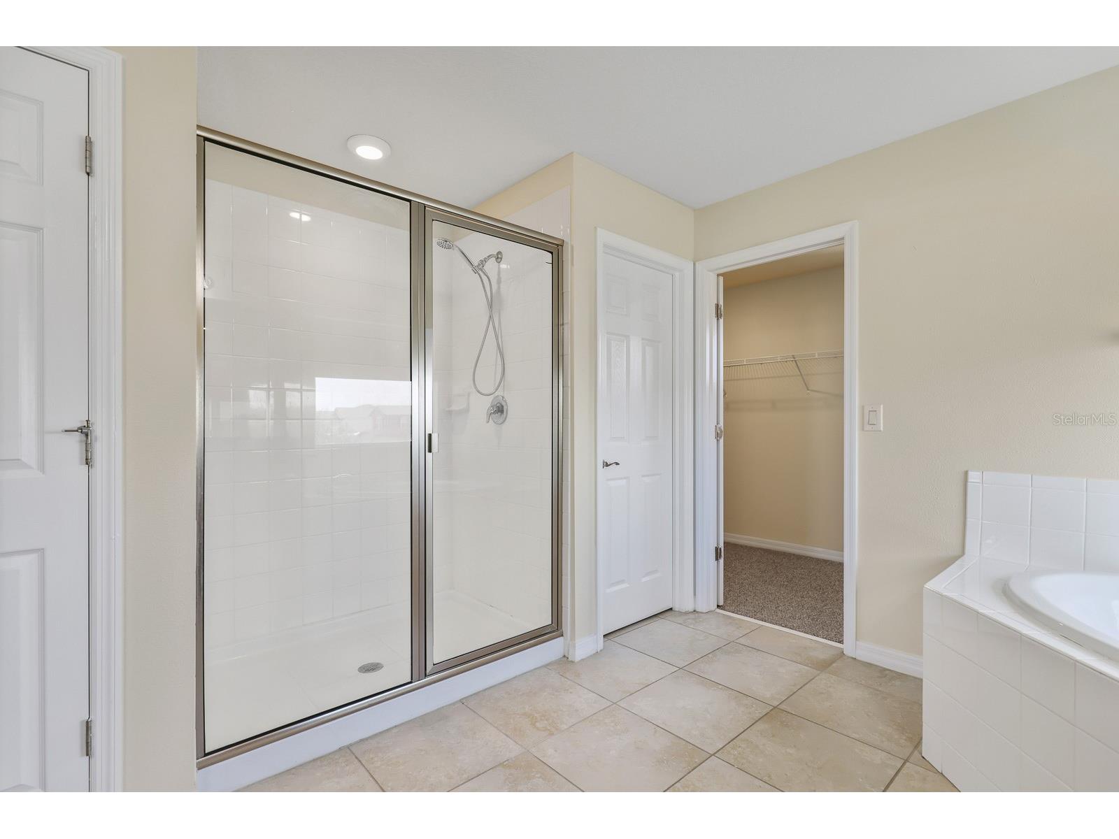 13441 Palmera Vista Drive Riverview FL 33579 TB8487897 image27