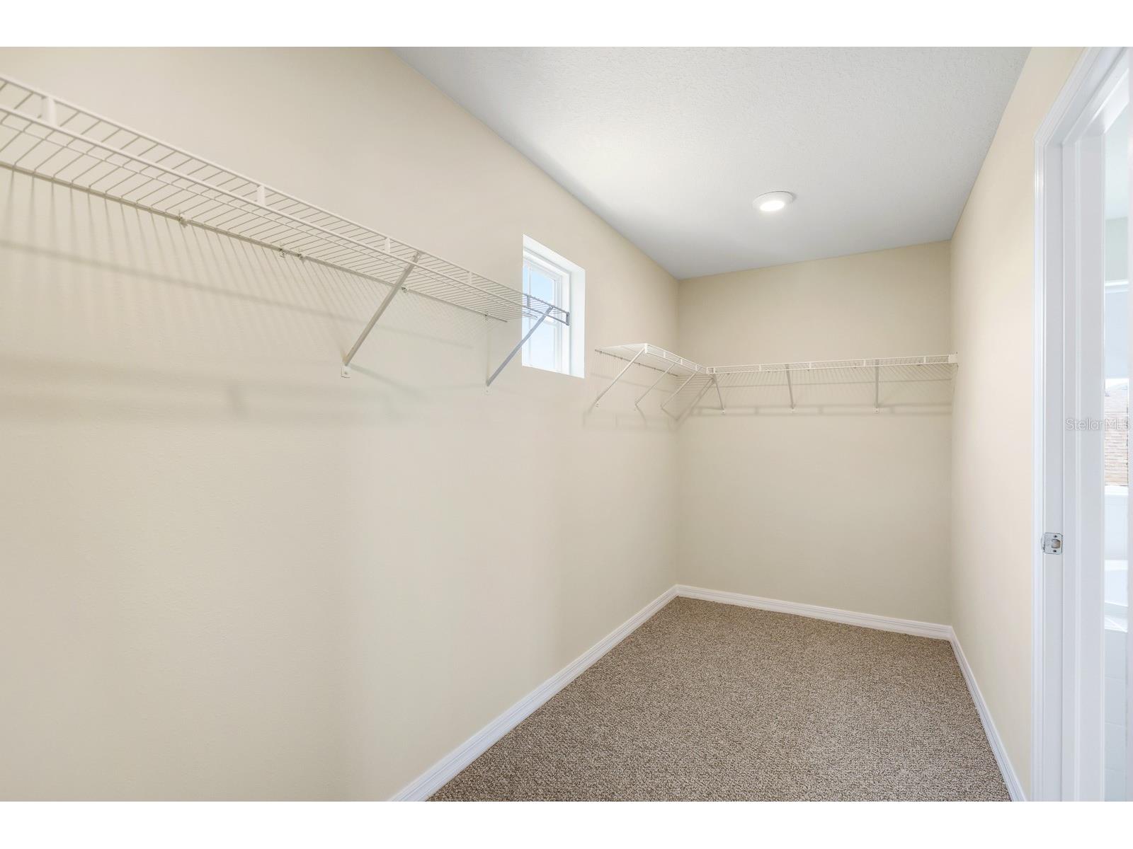 13441 Palmera Vista Drive Riverview FL 33579 TB8487897 image28