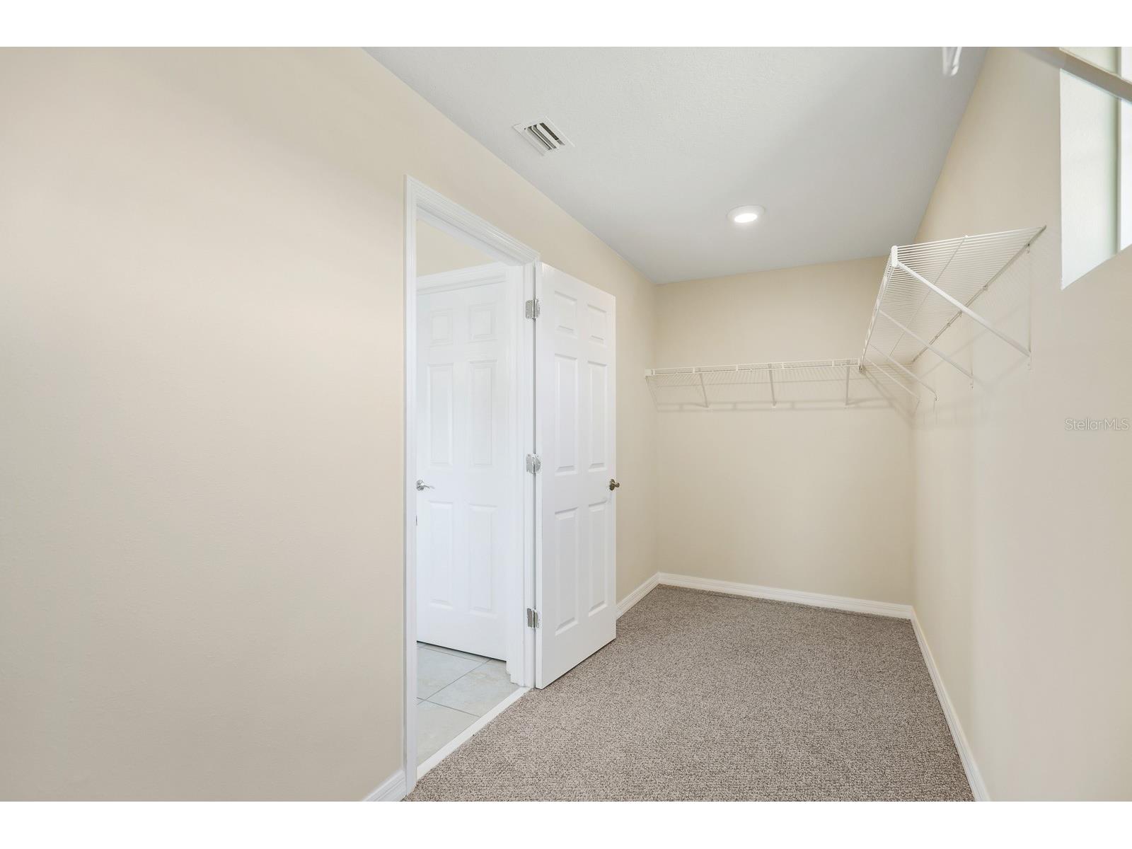 13441 Palmera Vista Drive Riverview FL 33579 TB8487897 image29