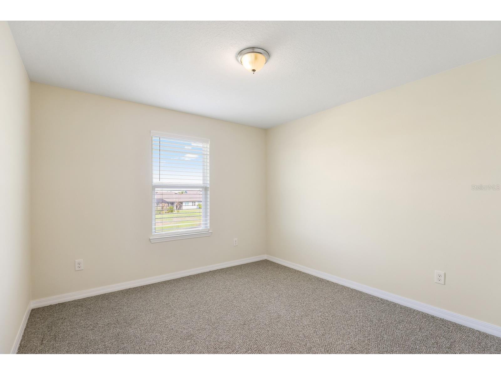 13441 Palmera Vista Drive Riverview FL 33579 TB8487897 image30