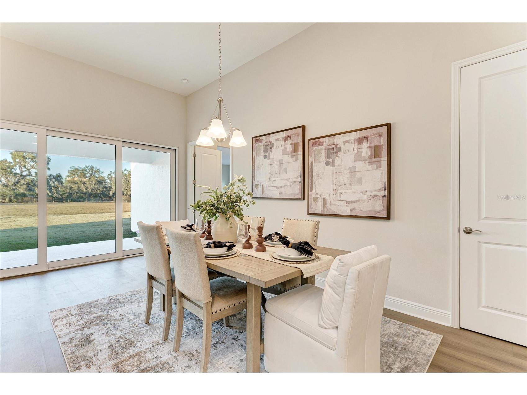 13442 Buffalo Mountain Avenue Riverview FL 33579 TB8476858 image22