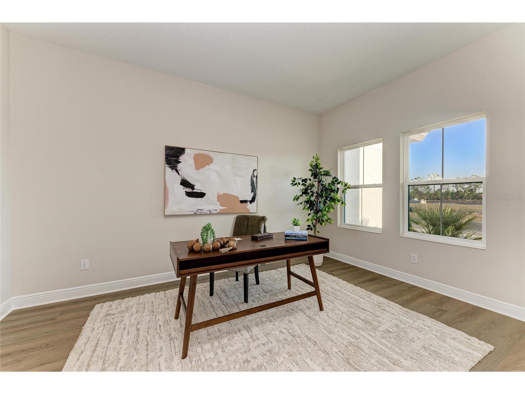 13442 Buffalo Mountain Avenue Riverview FL 33579 TB8476858 image23