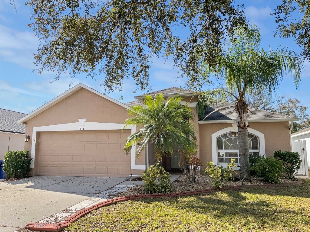 13443 Fladgate Mark Drive Riverview FL 33579 O6183309 image1