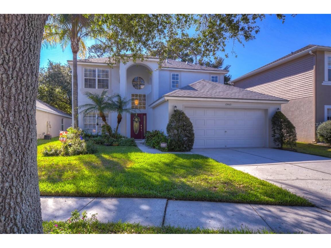 13443 Staghorn Road Tampa FL 33626 T3421885 image1