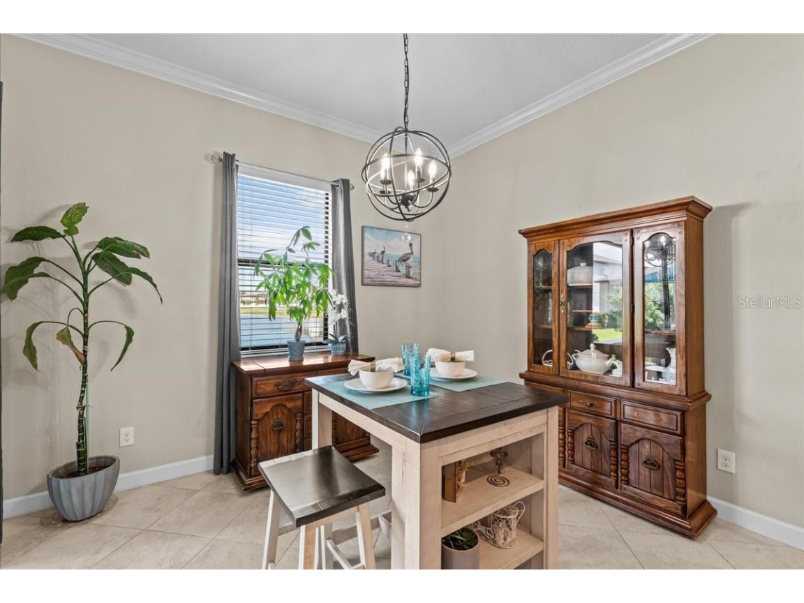 13443 White Sapphire Road Riverview FL 33579 - POND TB8427527 image10