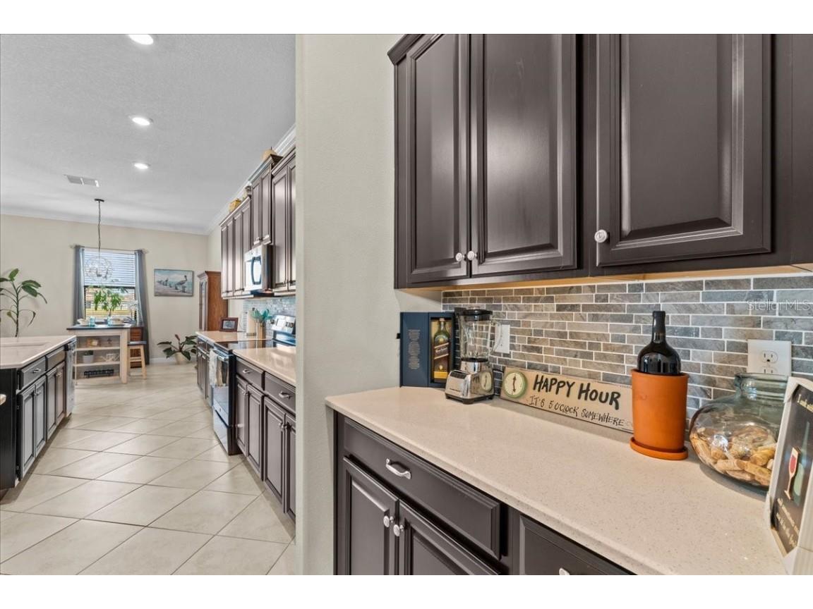 13443 White Sapphire Road Riverview FL 33579 - POND TB8427527 image11