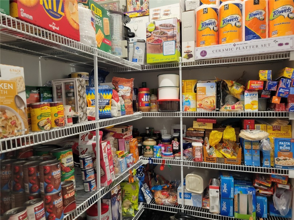 13443 White Sapphire Road Riverview FL 33579 - POND TB8427527 image12