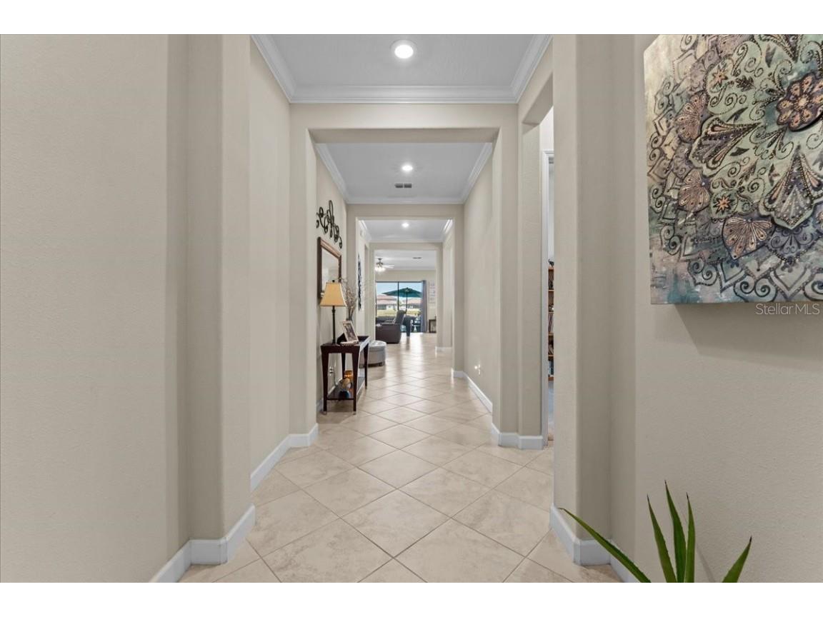 13443 White Sapphire Road Riverview FL 33579 - POND TB8427527 image13