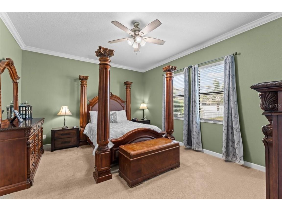 13443 White Sapphire Road Riverview FL 33579 - POND TB8427527 image14