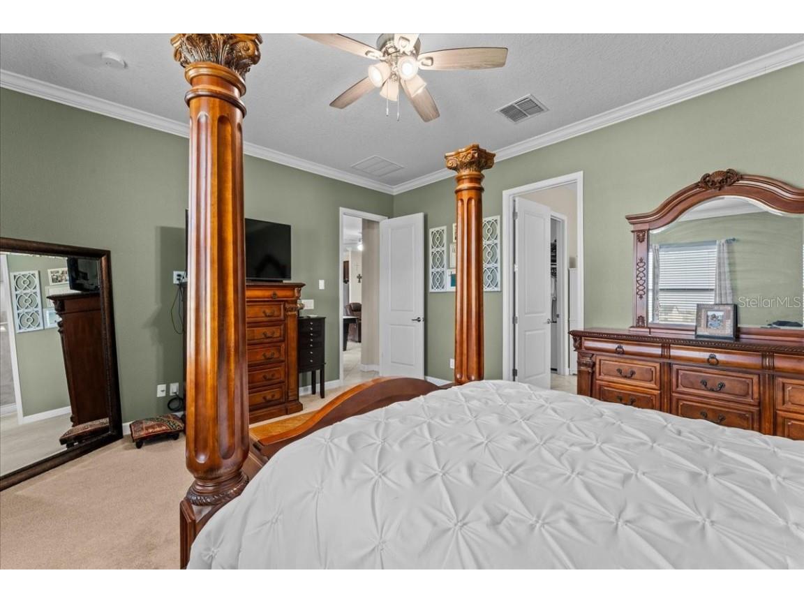 13443 White Sapphire Road Riverview FL 33579 - POND TB8427527 image15