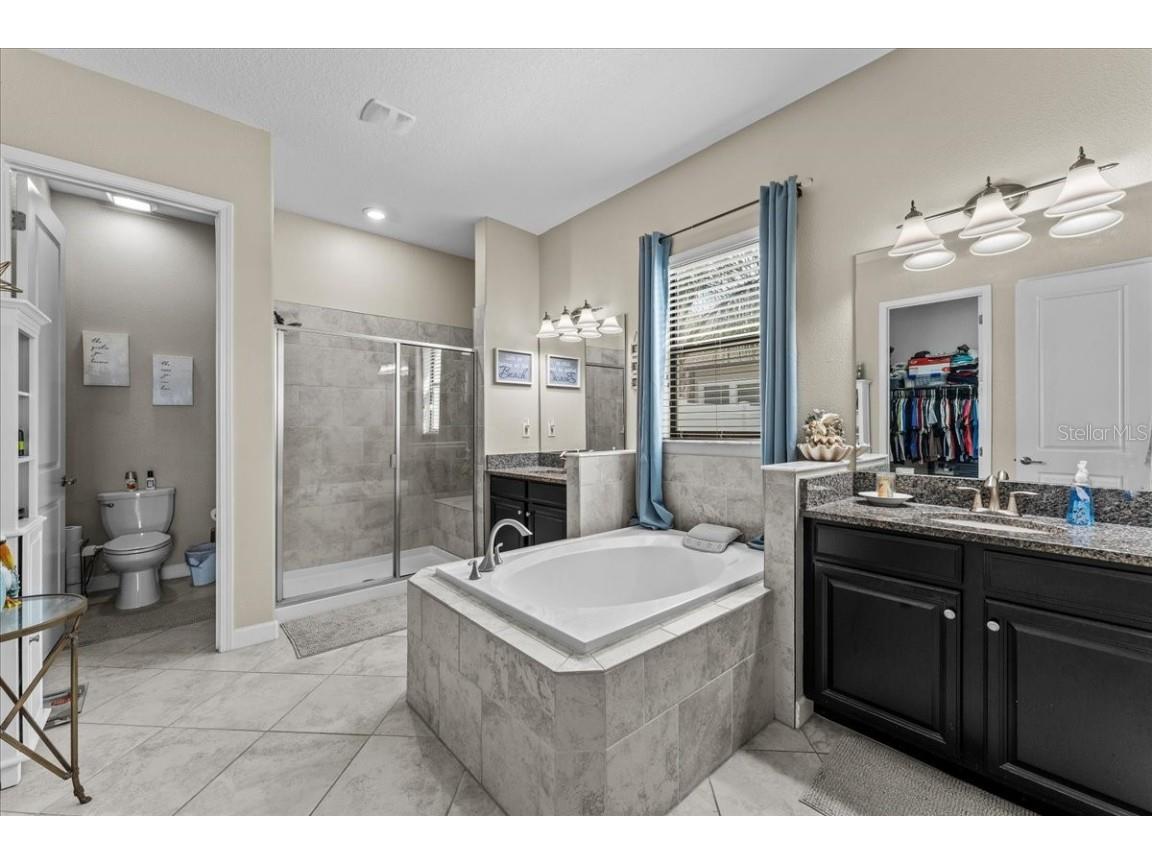 13443 White Sapphire Road Riverview FL 33579 - POND TB8427527 image16