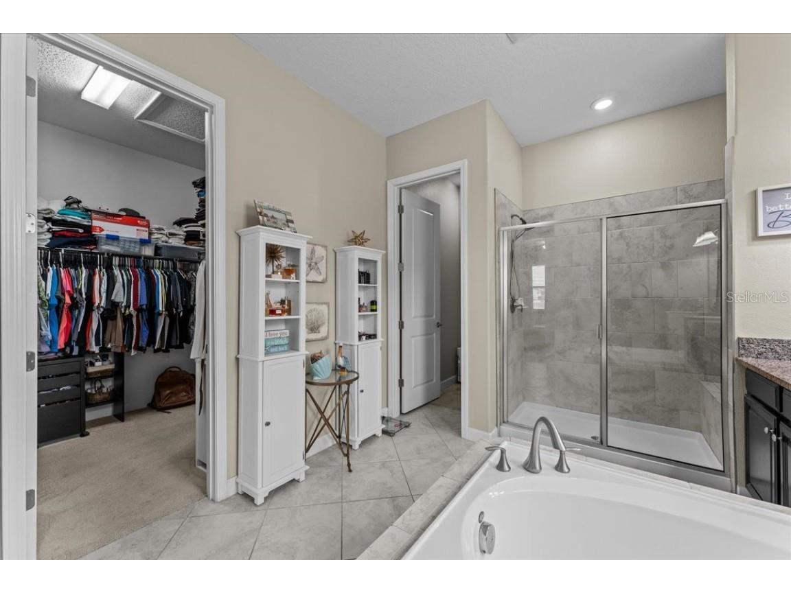 13443 White Sapphire Road Riverview FL 33579 - POND TB8427527 image17