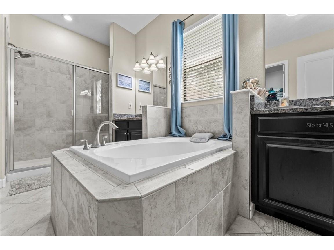 13443 White Sapphire Road Riverview FL 33579 - POND TB8427527 image18