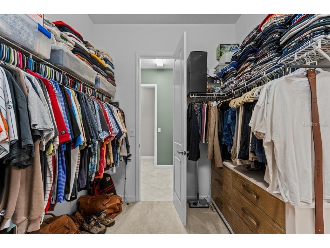 13443 White Sapphire Road Riverview FL 33579 - POND TB8427527 image20