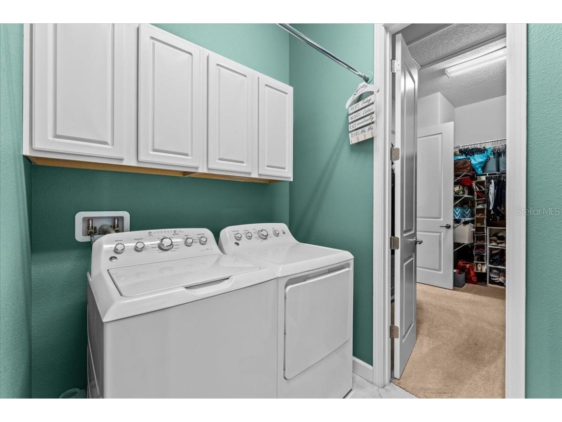 13443 White Sapphire Road Riverview FL 33579 - POND TB8427527 image21