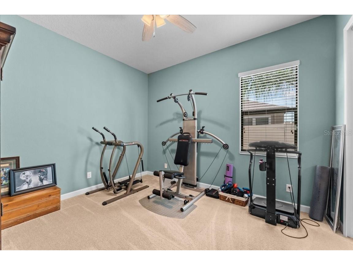 13443 White Sapphire Road Riverview FL 33579 - POND TB8427527 image28