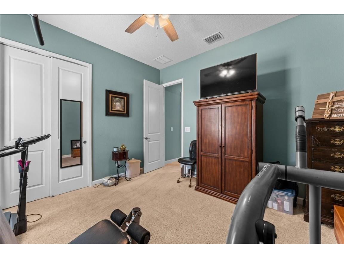 13443 White Sapphire Road Riverview FL 33579 - POND TB8427527 image29