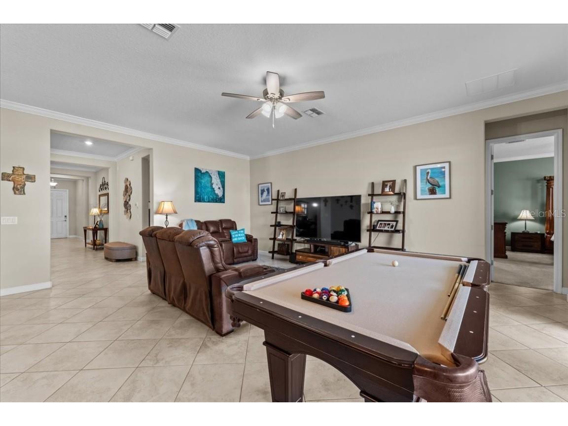 13443 White Sapphire Road Riverview FL 33579 - POND TB8427527 image4